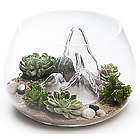 Glasscape Small Fishbowl