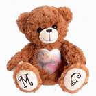 Custom Photo and Voice Long-Distance Relationship Teddy Bear