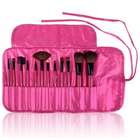 Shany Professional 12 Piece Natural Brush Set in Pink