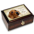 Paw Prints On Our Hearts Dog Breed Music Box