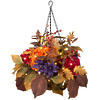 Aubergine Dahlia and Hydrangea Fall Hanging Basket