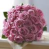 Passion for Purple 24-Stem Rose Bouquet