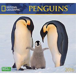 2016 National Geographic Penguins Wall Calendar