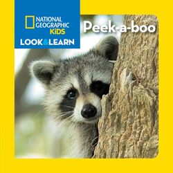 Kid's Look and Learn Peek-a-Boo Book