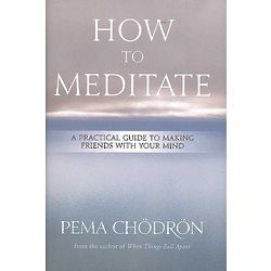 How to Meditate Book