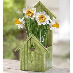 Virginia Sunrise Daffodil in Birdhouse Planter with Garden Gloves
