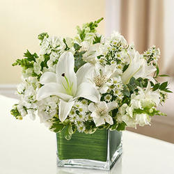 Healing Tears All White Floral Arrangement