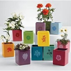 Year of Seeds Gift Set