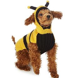 Bumble Bee Pet Sweater