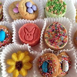 Variety of 4 Dozen Easter Cookies