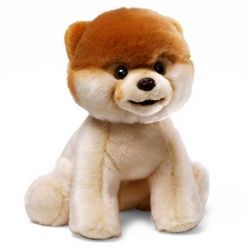 Boo the World's Cutest Dog Stuffed Animal