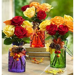 Autumn Roses in Three Vases