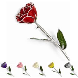 Real Preserved Rose Trimmed in Sterling Silver