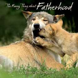 The Funny Thing About Fatherhood Book