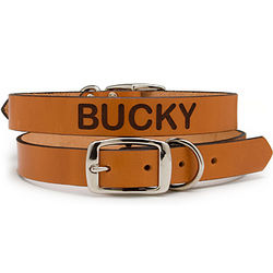 Personalized 18" - 20" Tan Leather Pet Collar
