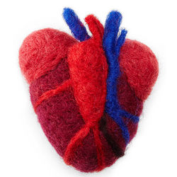 Anatomical Heart Needle Felting Kit