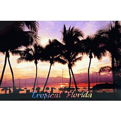 Florida Tropical Postcard
