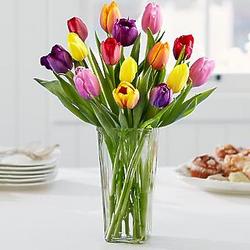 Bouquet of 15 Assorted Tulips