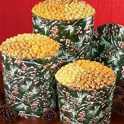 Winter Berries Popcorn Tin - 6 1/2 Gallon 3 Way