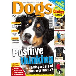 Dogs Monthly Magazine Subscription
