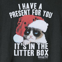 Grumpy Cat Present for You Tee