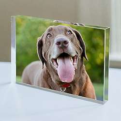 Custom Pet Photo Acrylic Plaque