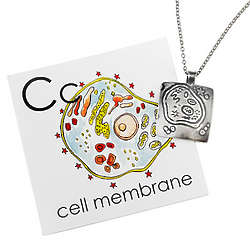 Cell Membrane Necklace