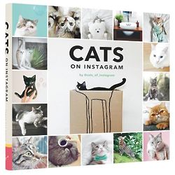 Cats On Instagram Book