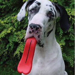 Huge Tongue Dog Toy