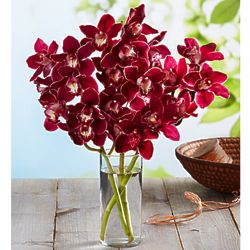 Fresh Market Orchid Bouquet with Vase