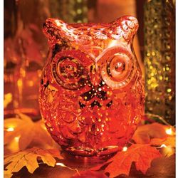 Mercury Glass LED Owl Accent Light