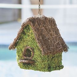 Super Moss Mansion Birdhouse with Chain