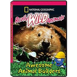 Really Wild Animals Awesome Animal Builders DVD