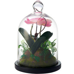 Faux Orchid in Glass Dome with Base