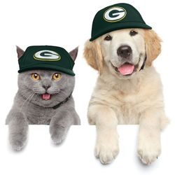 NFL Team Pet Hat