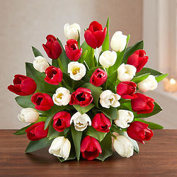Holiday Tulip Bouquet