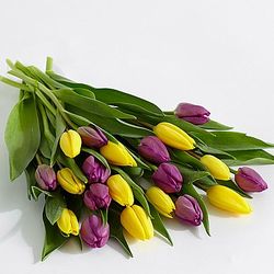 20 Easter Tulips Bouquet