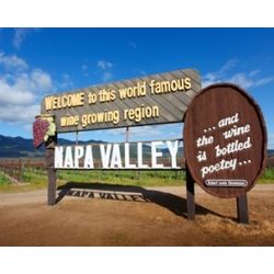 Napa Valley Winery Tour