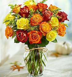 18 Elegance Premium Long Stem Autumn Roses Bouquet