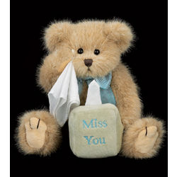 Miss You Beary Much Teddy Bear