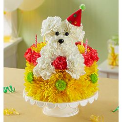 Birthday Wishes Flower Pupcake