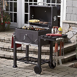 Not Your Basic Backyard Charcoal Grill