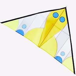 Colorful Bird Kite