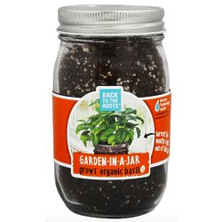 Organic Basil Garden-in-a-Jar