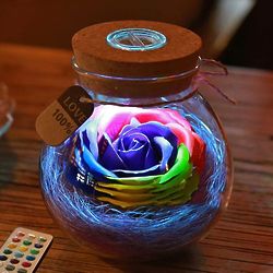Rose Light Bottle with Remote