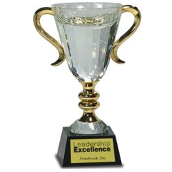 Personalized Crystal Cup Award with Gold Handles