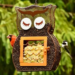 Owl Dual Seed & Suet Birdfeeder