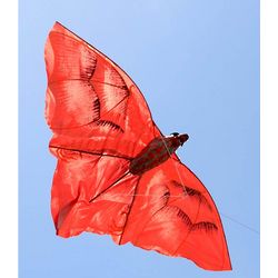 Crimson Bat Kite