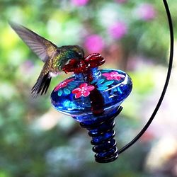 Parasol Gardens Mini-Blossom Gloria Hummingbird Feeder