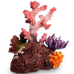 6" Coral Garden Aquarium Ornament